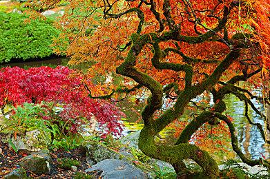 《猎天使魔女3》“女巫时刻”中文预告片